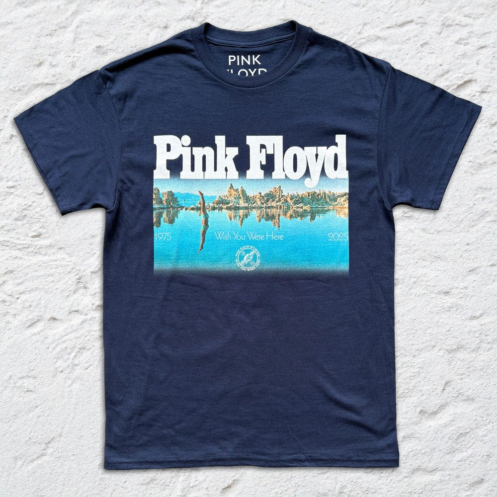 Pink Floyd Wish You Were Here Diver T-Shirt – Navy