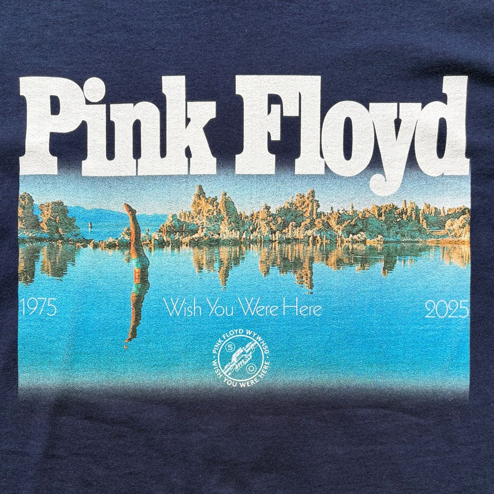 Pink Floyd Wish You Were Here Diver T-Shirt – Navy