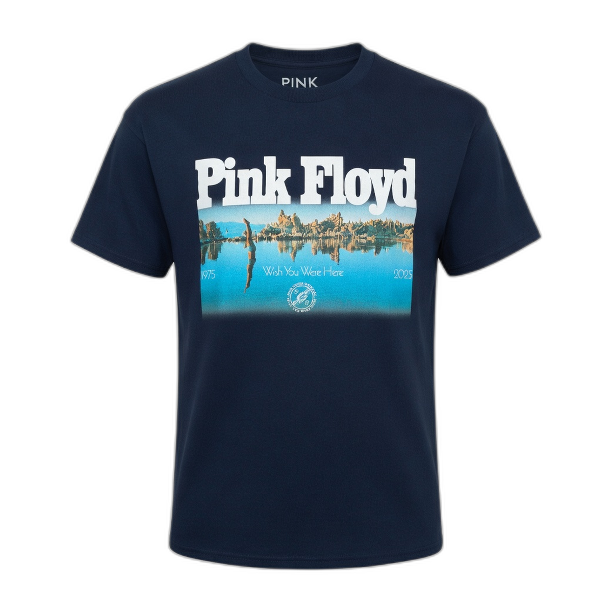Pink Floyd Wish You Were Here Diver T-Shirt – Navy
